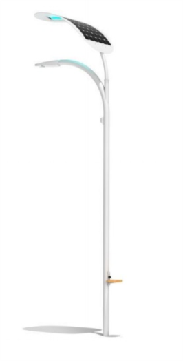 ZR5033