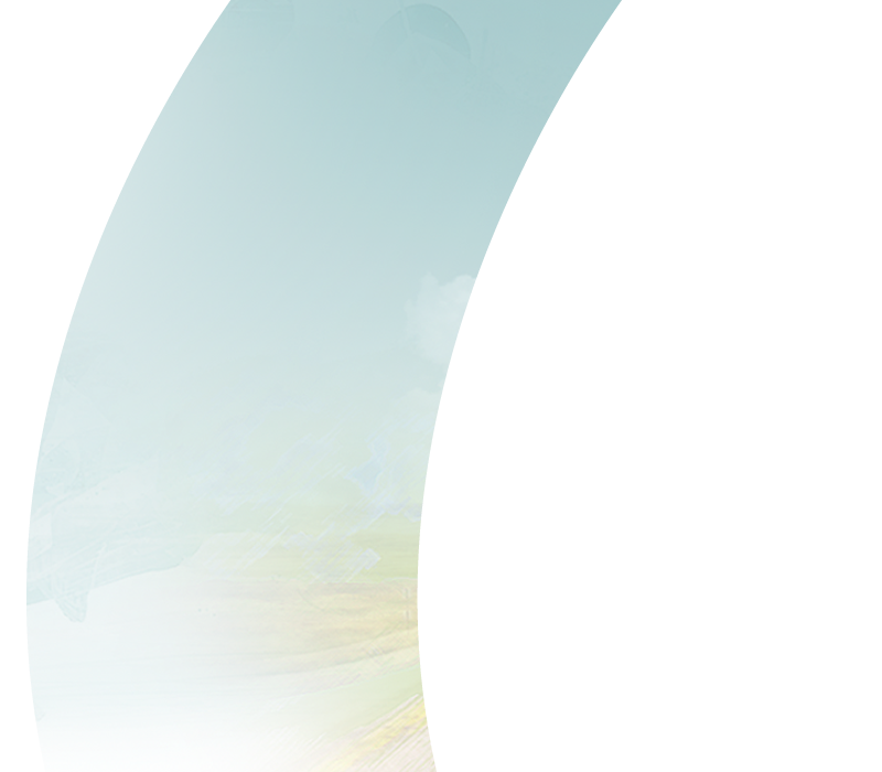 Zerled